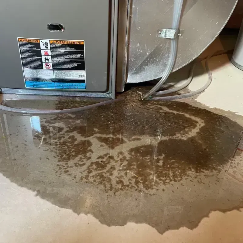 Appliance Leak Cleanup in Benton, KY